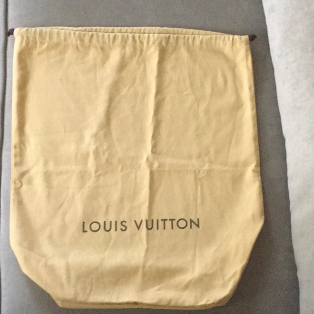 🔥Louis Vuitton purse dust bag